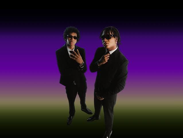 6. Gata oficial Hamilton y DFZM